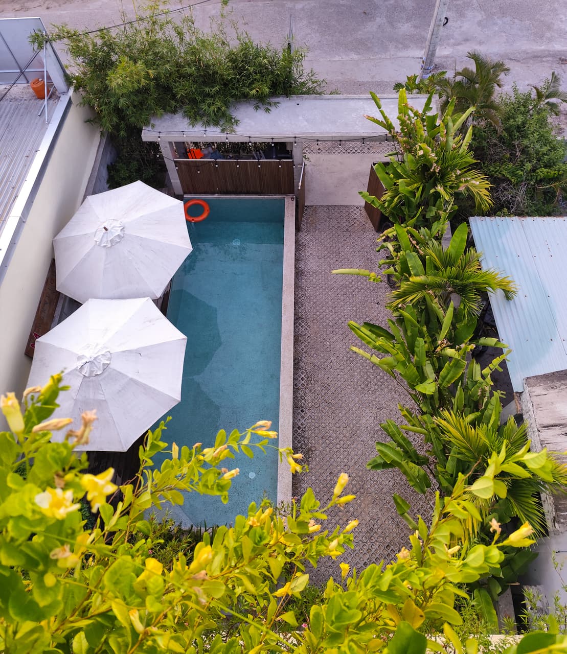 The pool from above, lined with sun loungers